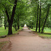 Peterhof -- Allee und Springbrunnen "Pyramide"