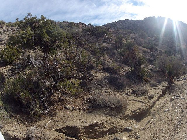 Long Canyon (01106)