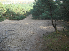 Trebbin - Aufstieg zum Löwendorfer Berg