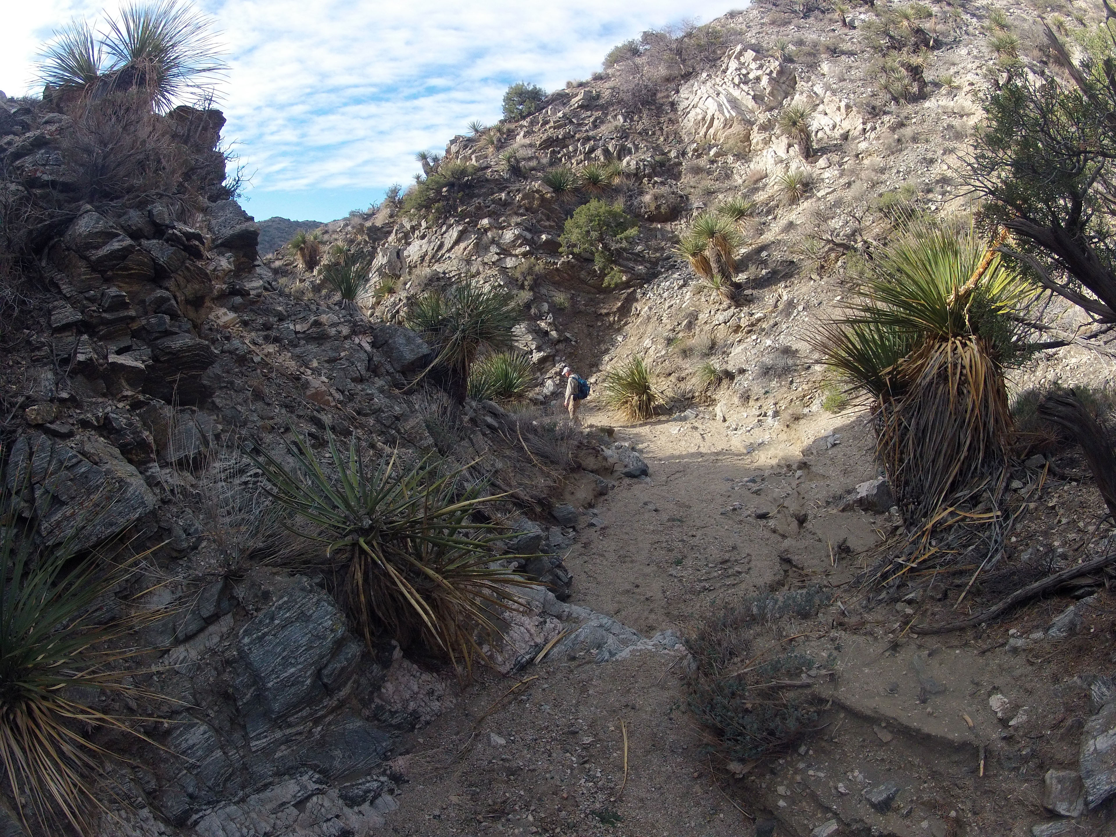 Long Canyon (01129)