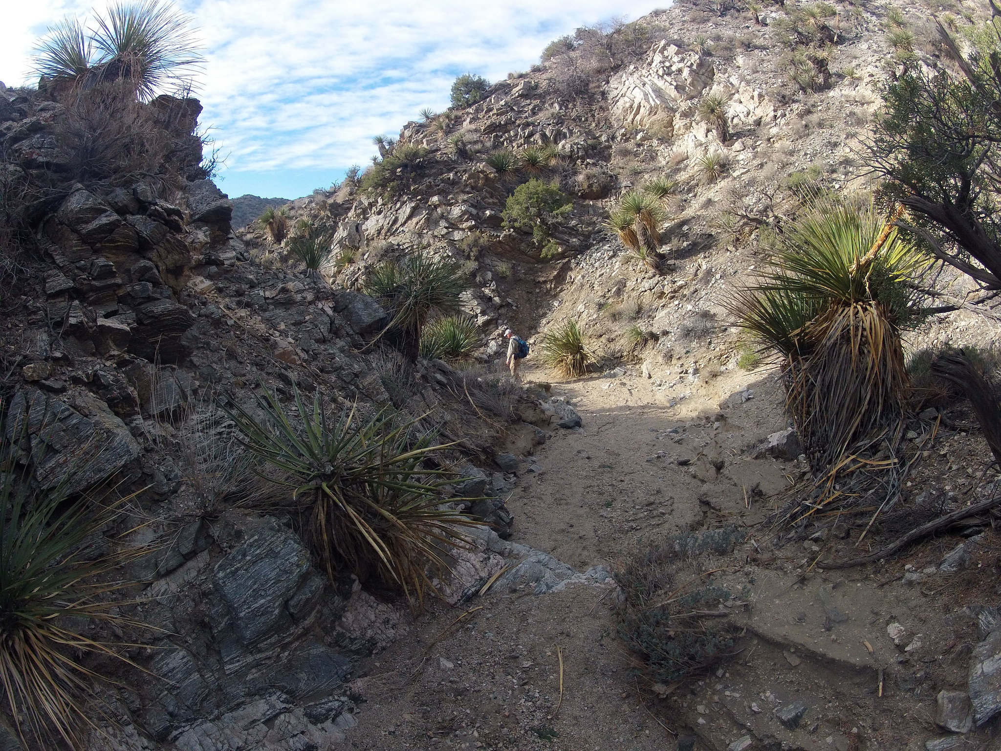 Long Canyon (01129)