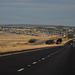 Interstate 40 (I-40)