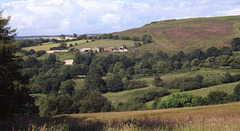 Farm and Moorland near Goathland