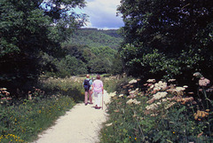 Walking the Old Railway Track Between Goathland and Grosmont