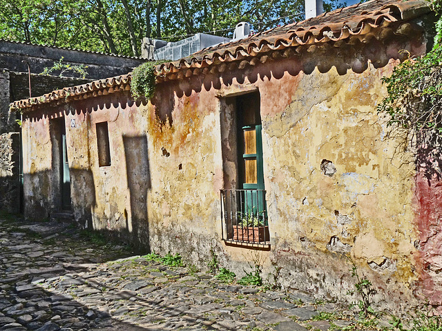 Street of Sighs, Colonia