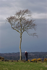 A man, a camera, and a tree