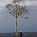 A man, a camera, and a tree