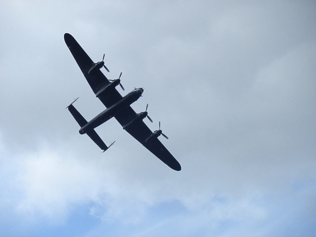 mandfmsaug452012 (1462)