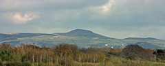 Shutlingsloe from Dingle Bank