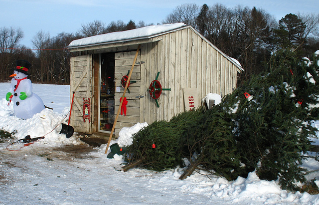 Christmas Tree Hut