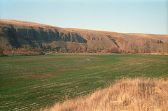04-field_ig_adj