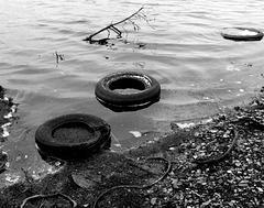 Tires, Lawson Creek