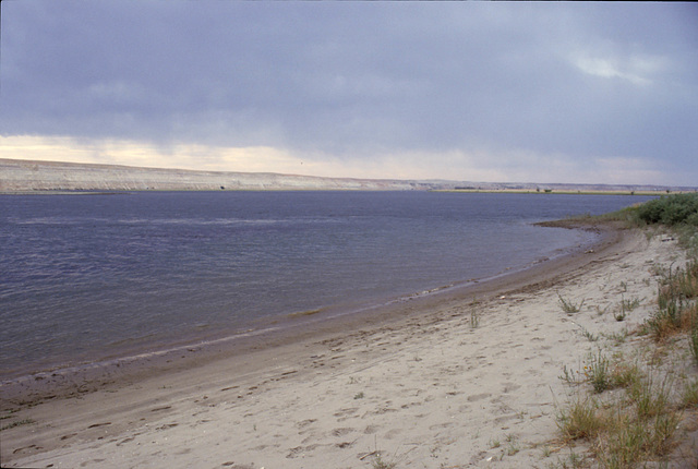 Beach on the Hanford Reach