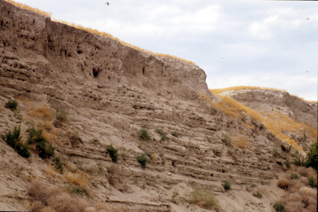 1-30-swallows_in_cliff_ig_adj