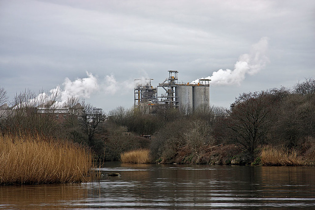 Winnington from the river