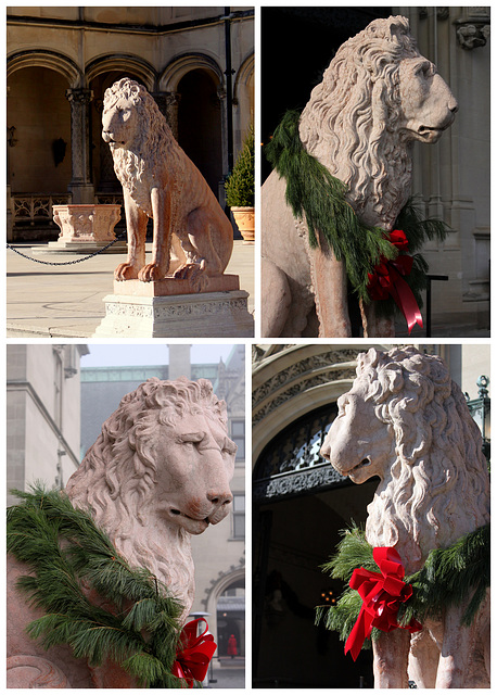 Biltmore lions