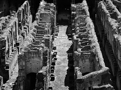 Basement of the Colosseo