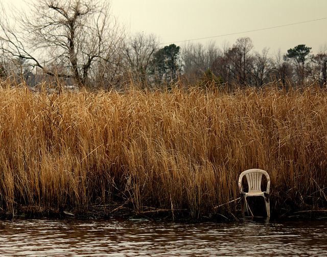 Chair, Lawson Creek