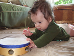 Tambourine Man