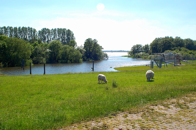 Radtour an der Elbe lang