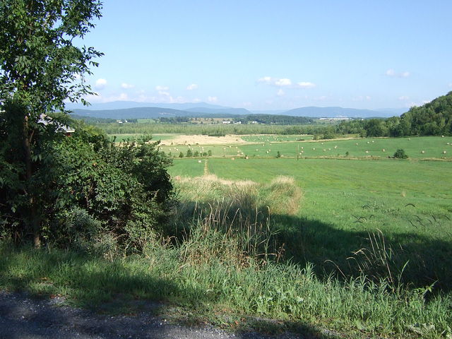 Vermont Hayfields