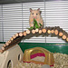 Goldhamsterdame Aliena