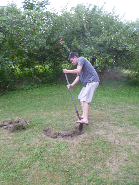 Henry's Tree - Groundbreaking.