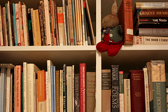 Bookcase with rabbit