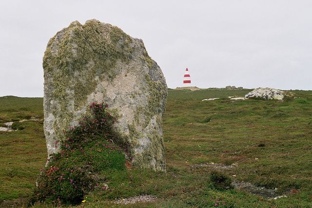 Chapel Down