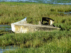 Aground and Abandoned