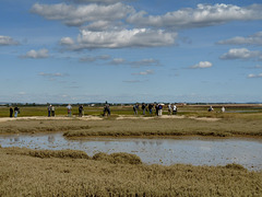 Birdwatchers near Pagham