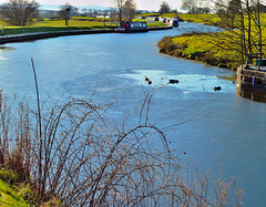 Winter on the canal 2.