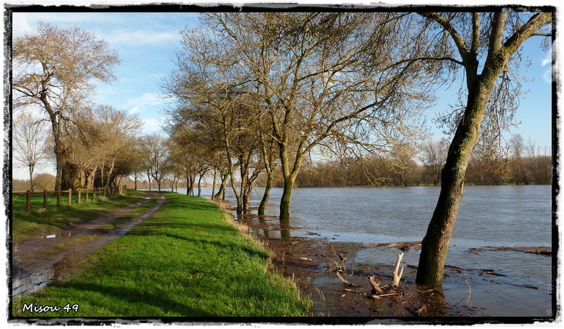 SAINTE GEMMES sur LOIRE