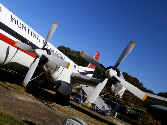 bamdoct15 (1091)