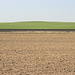 Plowed field in the Palouse