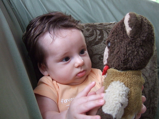 Checking Out Dad's Old Teddy Bear