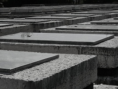 Tirana- Martyrs' Cemetery- Soviet War Graves