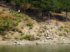 Lake Komani- Meeting the Ferry