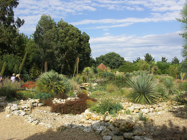 Dry Garden