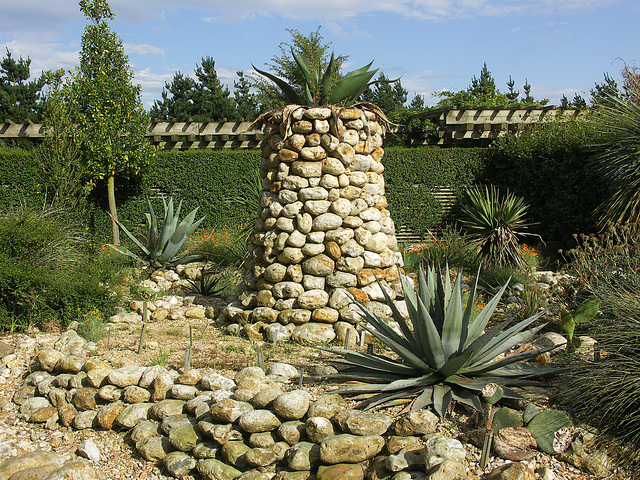 Agave tower