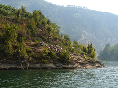 Lake Komani- Lakeside Scenery