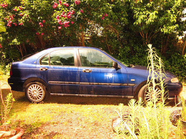 Mandi's car being washed