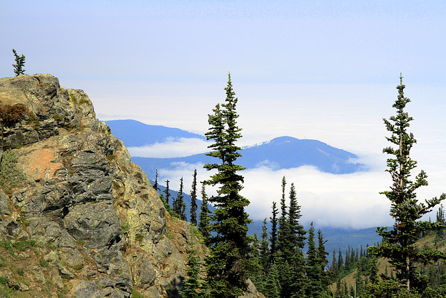 View from Blue Mountain