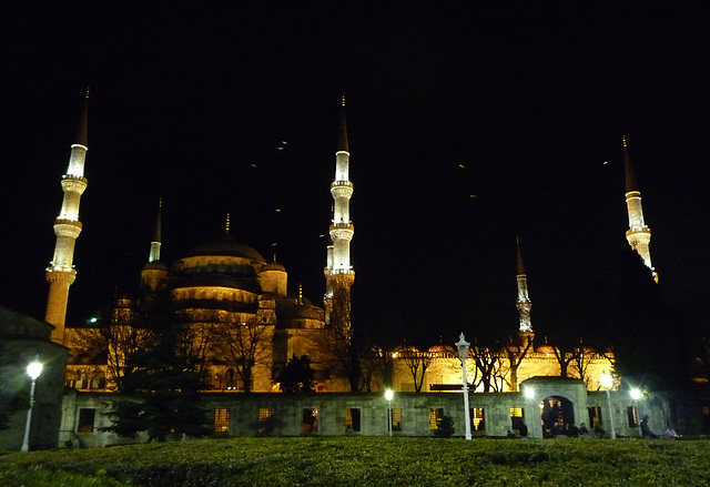 Blue Mosque with gulls