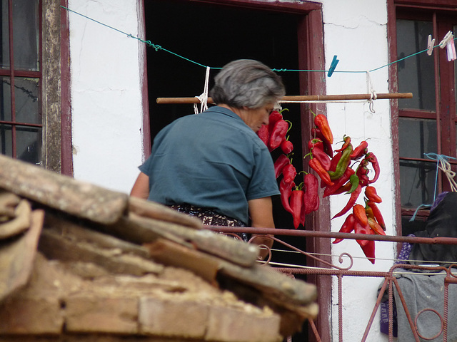 Liqenas- Drying Peppers