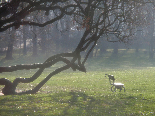 A Bench In Morning Mist