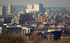 The Royal London Hospital