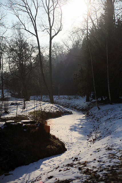 Frozen Stream