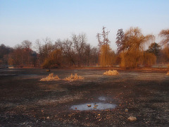 Waterless Pond