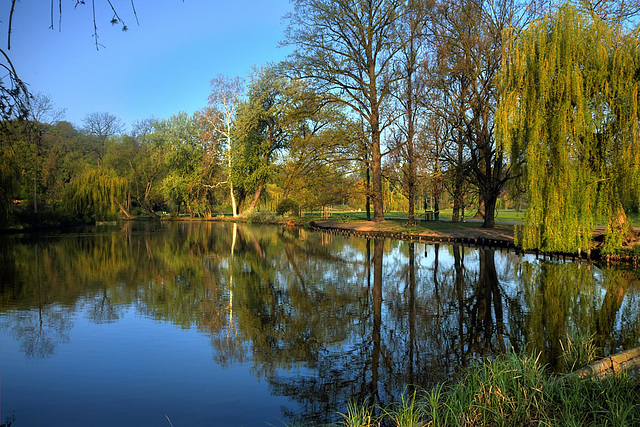 Morning Pond